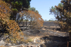 incendi